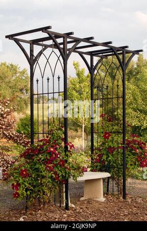 Printemps jardin de fleurs avec treillis de métal noir et banc de béton entouré de fleurs et de plantes rouges Banque D'Images