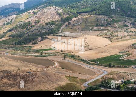 agriculture à Sambuca, Sicile, Italie Banque D'Images