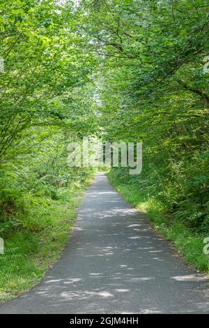 Great Trossachs Path et Rob Roy Way juste au nord de Callander, Stirling Scotland Banque D'Images