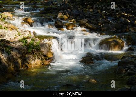 De l'eau blanche dans un ruisseau de montagne tandis qu'elle descend en cascade à travers la forêt à la recherche de points de lumière dans son chemin dans les Cascade Mountains de Washington Banque D'Images
