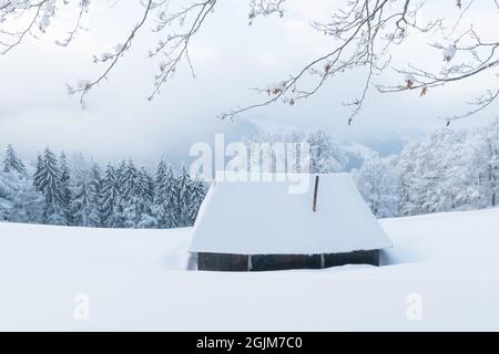 Paysage d'hiver fantastique avec cabine en bois dans la forêt enneigée. Maison confortable dans les montagnes de Carpathian. Concept de vacances de Noël Banque D'Images