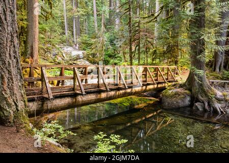 Une passerelle en bois traverse un ruisseau lent à Deception Falls, dans la forêt nationale Mount Baker Snoqualmie. Banque D'Images