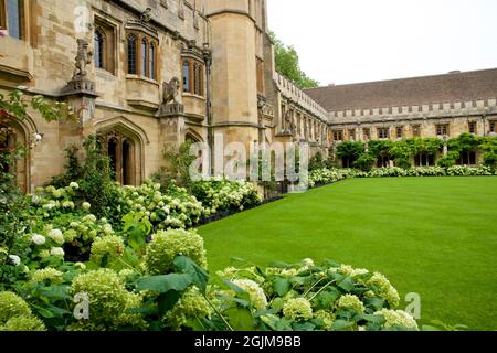 Cloîtres de Magdalen College, Université d'Oxford, Oxford, Angleterre, Royaume-Uni Banque D'Images