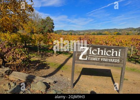 Les vignobles de la famille Zichichi pendant la belle automne à Dry Creek AVA, Healdsburg (Sonoma) CA Banque D'Images