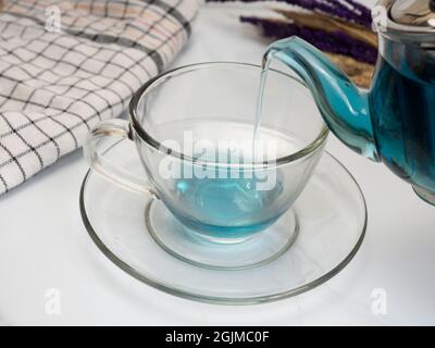 Une tasse de thé bleu à base de fleurs de pois à papillons ou de Clitoria Ternatea Banque D'Images