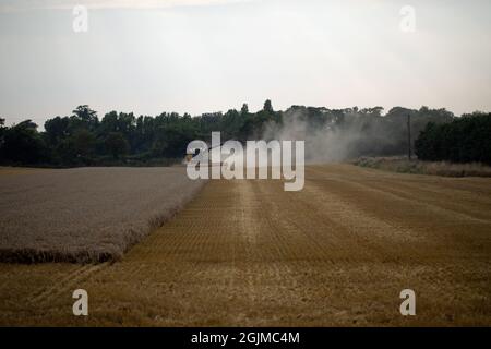 Moissonneuse-batteuse à récolte de céréales, machines, coupe, récolte de grain, causant beaucoup de terre sèche perturbation de surface érosion, perte de sol supérieure. Tard dans la soirée. Banque D'Images