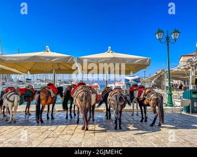 Ânes à l'île grecque d'Hydra. Ils sont le seul moyen de transport traditionnel sur l'île, aucune voiture n'est autorisée. Hydra Saronique golfe, Grèce Banque D'Images