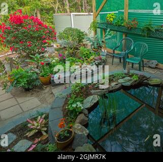 Jardin couvert coloré avec plan d'eau / étang, murs en briques décoratifs, pavage, fougères et autres plantes et sièges en plein air, en Australie Banque D'Images