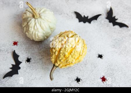 Vue de dessus de l'artisanat d'Halloween, citrouilles, chauve-souris et araignées sur fond de béton. concept d'halloween. Banque D'Images