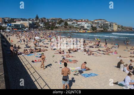 Sydney, Australie. Samedi 11 septembre 2021. Les gens se détendent sur la plage de Bondi quand les températures de printemps atteignent aujourd'hui 27 degrés. Les restrictions de Covid-19 sont prévues pour se soulager lundi pour les personnes qui, dans certaines parties de Sydney, sont entièrement vaccinées. Jusqu'à cinq personnes seront autorisées à se réunir à l'extérieur. Crédit : Paul Lovelace/Alamy Live News Banque D'Images