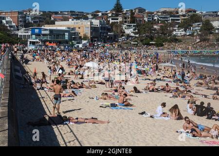 Sydney, Australie. Samedi 11 septembre 2021. Les gens se détendent sur la plage de Bondi quand les températures de printemps atteignent aujourd'hui 27 degrés. Les restrictions de Covid-19 sont prévues pour se soulager lundi pour les personnes qui, dans certaines parties de Sydney, sont entièrement vaccinées. Jusqu'à cinq personnes seront autorisées à se réunir à l'extérieur. Crédit : Paul Lovelace/Alamy Live News Banque D'Images