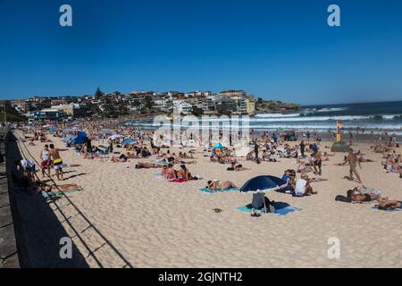 Sydney, Australie. Samedi 11 septembre 2021. Les gens se détendent sur la plage de Bondi quand les températures de printemps atteignent aujourd'hui 27 degrés. Les restrictions de Covid-19 sont prévues pour se soulager lundi pour les personnes qui, dans certaines parties de Sydney, sont entièrement vaccinées. Jusqu'à cinq personnes seront autorisées à se réunir à l'extérieur. Crédit : Paul Lovelace/Alamy Live News Banque D'Images