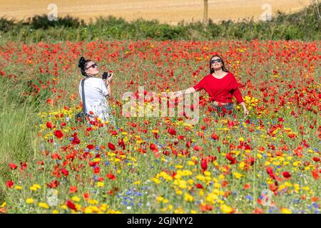 Creaton, Northamptonshre, Royaume-Uni. Météo. 11 septembre 2021. Prairie de fleurs sauvages avec des gens dehors appréciant les fleurs colorées et le soleil, un pré au large de Brixworth route Creaton, Northamptonshre. Crédit : Keith J Smith./Alamy Live News. Banque D'Images