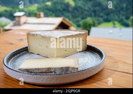 Collection de fromages, tomme de savoie et village de montagnes françaises en haute-Savoie en été en arrière-plan Banque D'Images