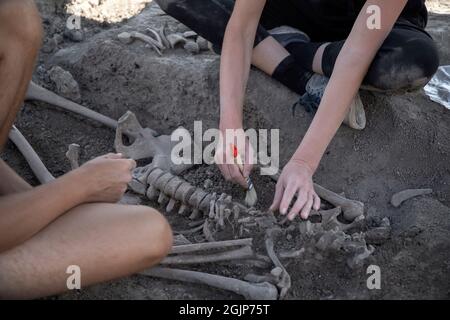 Vinča, Serbie, 4 septembre 2021 : gros plan d'archéologues travaillant sur l'excavation de restes humains Banque D'Images