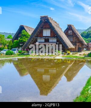 Belle maison de style Gassho zukuri traditionnelle de printemps avec réflexion d'eau dans le village de Shirakawa-Go, préfecture de Gifu, Japon. Un culte mondial de l'UNESCO Banque D'Images