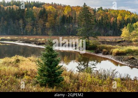 Paysage d'automne le long d'une rivière lente. Banque D'Images