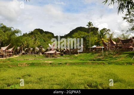 Village de Toraja dans la région montagneuse de Sulawesi Sud, Indonésie. Avec des maisons ethniques de tongkonan Banque D'Images