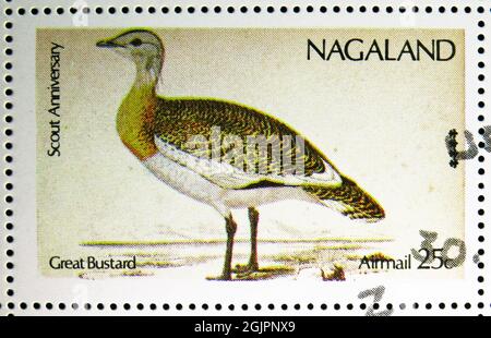 MOSCOU, RUSSIE - 17 AVRIL 2021 : timbre-poste imprimé à Cenderellas montre le Grand Bustard (Otis tarda), série Nagaland, vers 1974 Banque D'Images