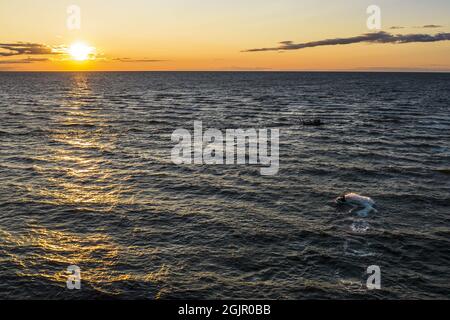 Vue aérienne majestueuse d'un jeune homme sur un scooter d'eau rapide dans les rayons d'or et reflet du soleil de coucher de soleil dans l'eau ondulée. Concept d'été, de vacances et de voyages, de sport, de vie active. Copier l'espace Banque D'Images