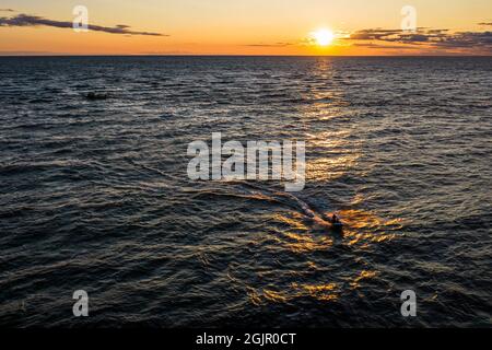 Vue aérienne majestueuse d'un jeune homme sur un scooter d'eau rapide dans les rayons d'or et reflet du soleil de coucher de soleil dans l'eau ondulée. Concept d'été, de vacances et de voyages, de sport, de vie active. Copier l'espace Banque D'Images