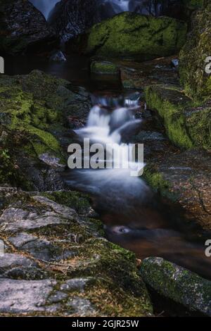 Des cascades de la forêt noire (Schwarzwald), Bade-Wurtemberg, Allemagne Banque D'Images