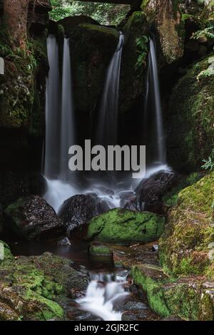 Des cascades de la forêt noire (Schwarzwald), Bade-Wurtemberg, Allemagne Banque D'Images