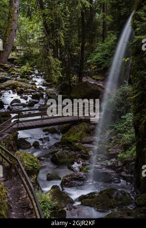 Des cascades de la forêt noire (Schwarzwald), Bade-Wurtemberg, Allemagne Banque D'Images