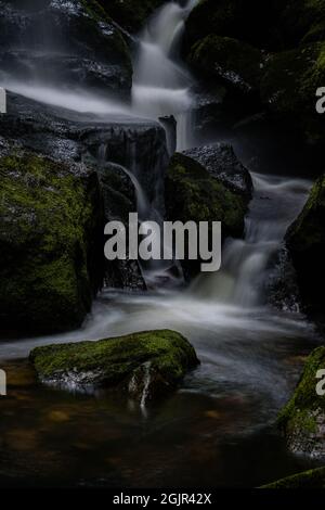 Des cascades de la forêt noire (Schwarzwald), Bade-Wurtemberg, Allemagne Banque D'Images