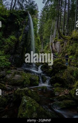 Des cascades de la forêt noire (Schwarzwald), Bade-Wurtemberg, Allemagne Banque D'Images