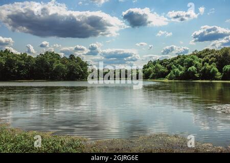 La réserve naturelle et le parc de loisirs du lac Conestee sont les lieux préférés des habitants et des touristes à Greenville, en Caroline du Sud. Banque D'Images