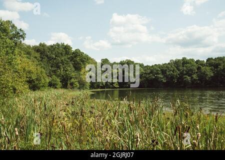 La réserve naturelle et le parc de loisirs du lac Conestee sont les lieux préférés des habitants et des touristes à Greenville, en Caroline du Sud. Banque D'Images