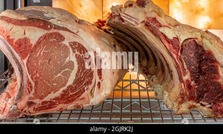 Steak de bœuf dans une armoire de vieillissement de viande séchée. Grillades au réfrigérateur dans un délicieux restaurant gastronomique. Sécher la viande vieillissante en chambre froide. Coupe séchée Banque D'Images
