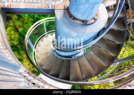 Escaliers en acier à spirale depuis le sol de la forêt tropicale à feuilles persistantes jusqu'au ciel au-dessus de la canopée en Nouvelle-Galles du Sud, Austalia. Banque D'Images