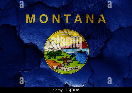 Drapeau du Montana, États-Unis peint sur un mur fissuré Banque D'Images