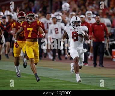 11 septembre 2021 Stanford Cardinal en arrière Nathaniel Peat #8 porte le ballon et marquerait un touchdown pendant le match de football NCAA entre les chevaux de Troie USC et le Cardinal de Stanford au Los Angeles Coliseum à Los Angeles, en Californie. Crédit photo obligatoire : Charles Baus/CSM Banque D'Images