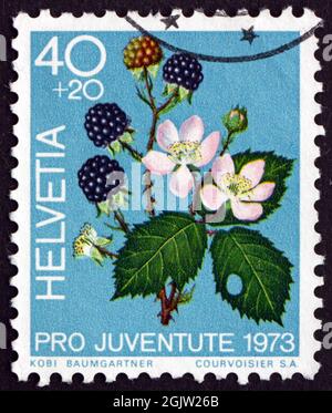 SUISSE - VERS 1973 : un timbre imprimé en Suisse montre les mûres, Rubus fruticosus, fruit de la forêt, vers 1973 Banque D'Images