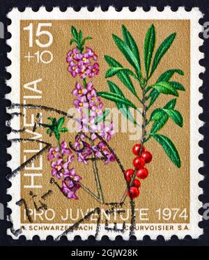 SUISSE - VERS 1974 : un timbre imprimé en Suisse montre Laurel, Laurus Nobilis, Evergreen Tree ou grand arbuste, vers 1974 Banque D'Images