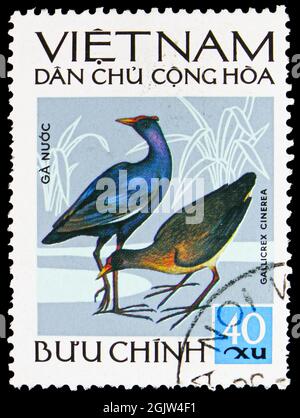 MOSCOU, RUSSIE - 20 JUIN 2021: Timbre-poste imprimé au Vietnam montre Watercock (Gallicex cinerea), Birds serie, vers 1972 Banque D'Images