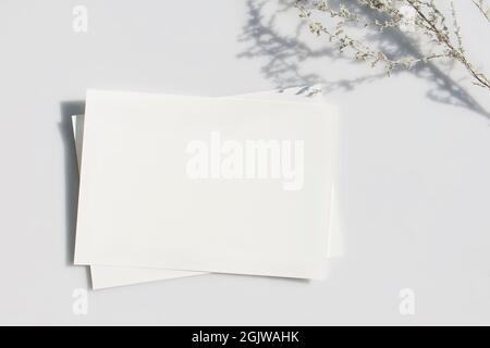 Maquette poster ou prospectus pour présentation feuilles de papier blanches avec ombre d'une plante sur fond gris dans un style moderne minimaliste. Félicitations Banque D'Images