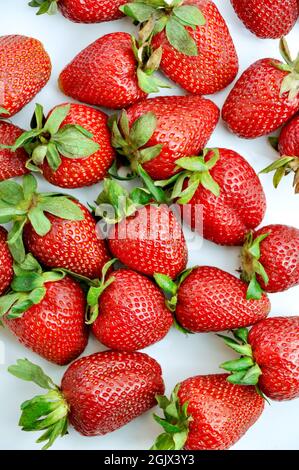 Les fraises les plus sucrées et les plus belles dans les baies rouges, isolées sur fond blanc Banque D'Images