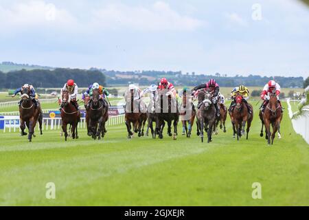 Kildare, Irlande. 12 septembre 2021. 12 septembre 2021 : Big Gossey #12, monté par le jockey Mick Hussey remporte le Bold LAD Sprint handicap sur le gazon sur le week-end des champions irlandais à l'hippodrome de Curragh à Kildare, Irlande le 12 septembre 2021. Shamela HanleyEclipse SportswireCSM/Alamy Live News Banque D'Images