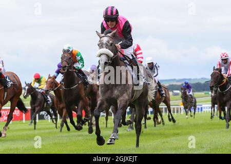 Kildare, Irlande. 12 septembre 2021. 12 septembre 2021 : Big Gossey #12, monté par le jockey Mick Hussey remporte le Bold LAD Sprint handicap sur le gazon sur le week-end des champions irlandais à l'hippodrome de Curragh à Kildare, Irlande le 12 septembre 2021. Shamela HanleyEclipse SportswireCSM/Alamy Live News Banque D'Images