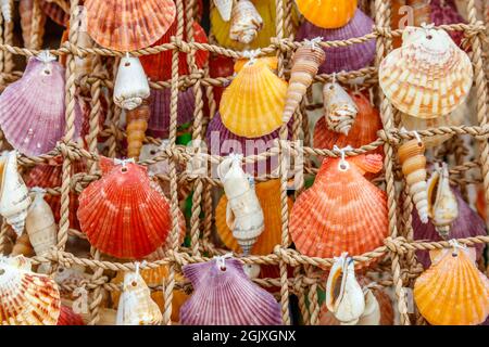 Coquillages colorés sur un filet, souvenirs sur un marché local sur l'île de Boracay, Philippines Banque D'Images