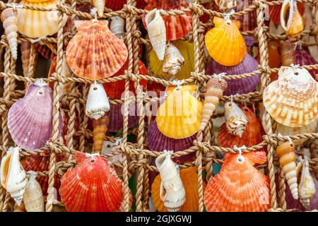 Coquillages colorés sur un filet, souvenirs sur un marché local sur l'île de Boracay, Philippines Banque D'Images