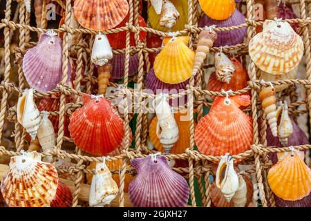 Coquillages colorés sur un filet, souvenirs sur un marché local sur l'île de Boracay, Philippines Banque D'Images