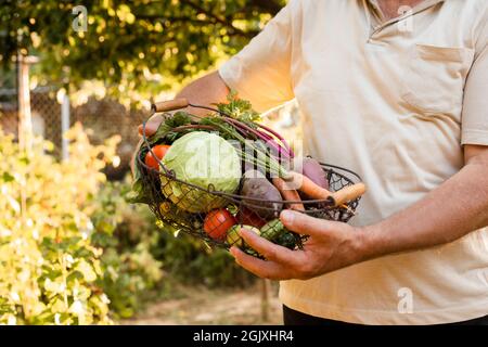 L'homme âgé tient dans ses mains un panier de légumes frais. Il se tient sur le fond du jardin Banque D'Images