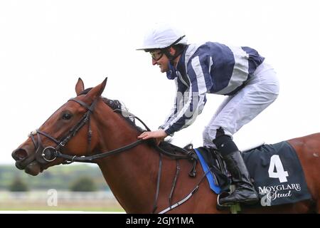 Kildare, États-Unis. 12 septembre 2021. 12 septembre 2021: Discoveries (IRE) #4, monté par le jockey Shane Foley remporte les piquets du Group 1 Moyantil Stud sur le gazon sur le week-end des champions irlandais à l'hippodrome de Curragh à Kildare, Irlande, le 12 septembre 2021. Shamela HanleyEclipse SportswireCSM/Alamy Live News Banque D'Images