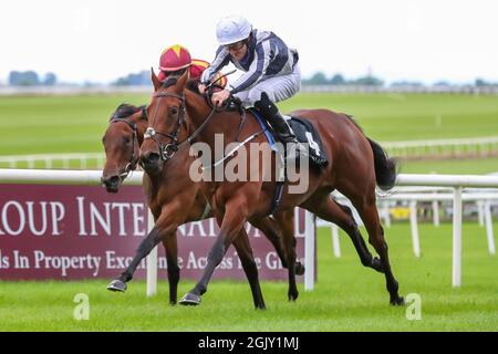 Kildare, États-Unis. 12 septembre 2021. 12 septembre 2021: Discoveries (IRE) #4, monté par le jockey Shane Foley remporte les piquets du Group 1 Moyantil Stud sur le gazon sur le week-end des champions irlandais à l'hippodrome de Curragh à Kildare, Irlande, le 12 septembre 2021. Shamela HanleyEclipse SportswireCSM/Alamy Live News Banque D'Images