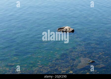 Lac Baikal. Deux phoques Baikal reposent sur une roche et se reposent au soleil. Banque D'Images